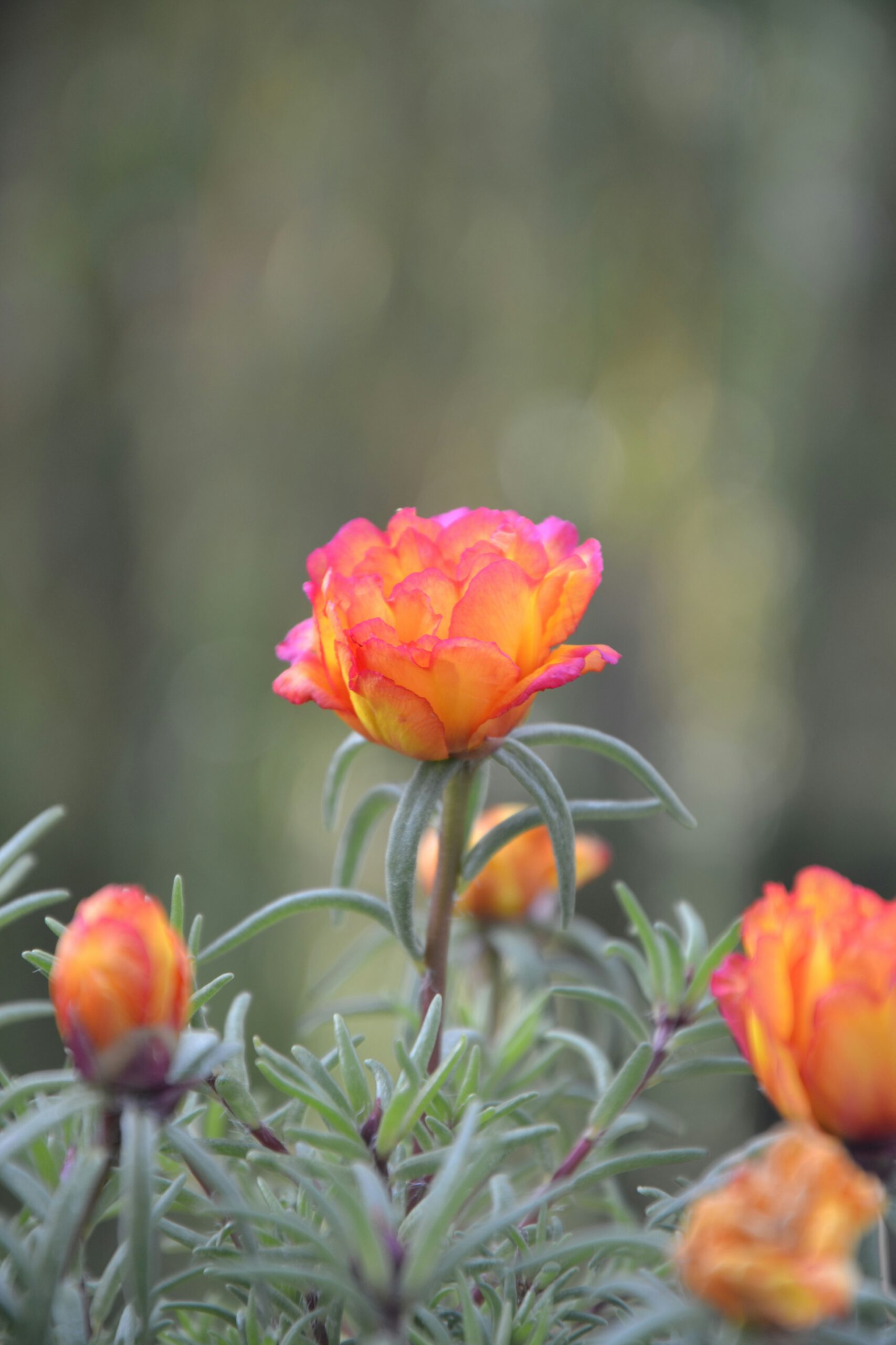 csaba-gyulavari-yDUDaUFl_aM-unsplash