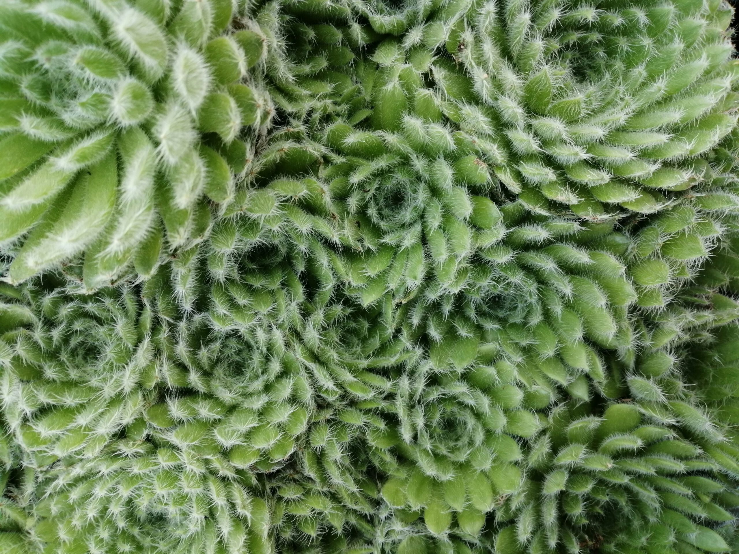 noyo-creatif-nekjGP3sjts-unsplash