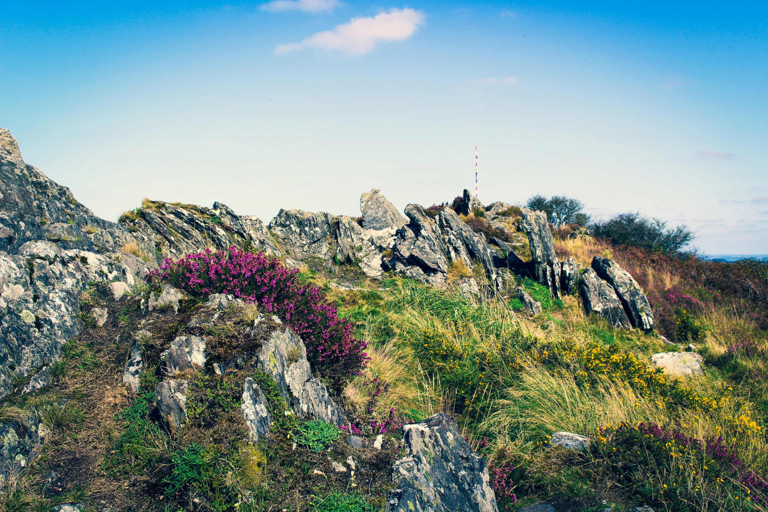 sebastien-le-derout-xbbH6N9OMl8-unsplash